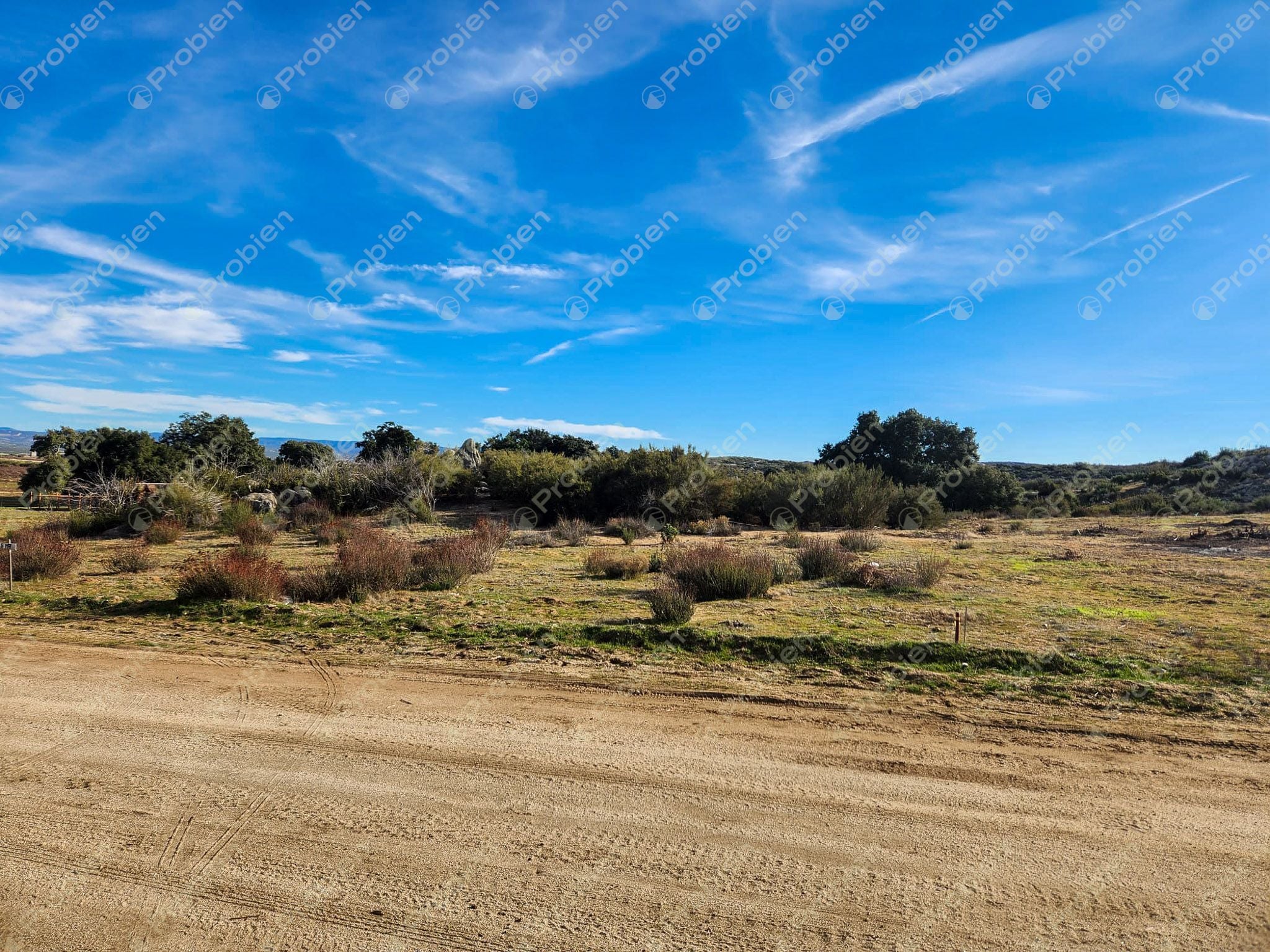 Terreno en Venta - 1000m² en El Encinal Ideal para casa de Campo - Foto 7 de 11