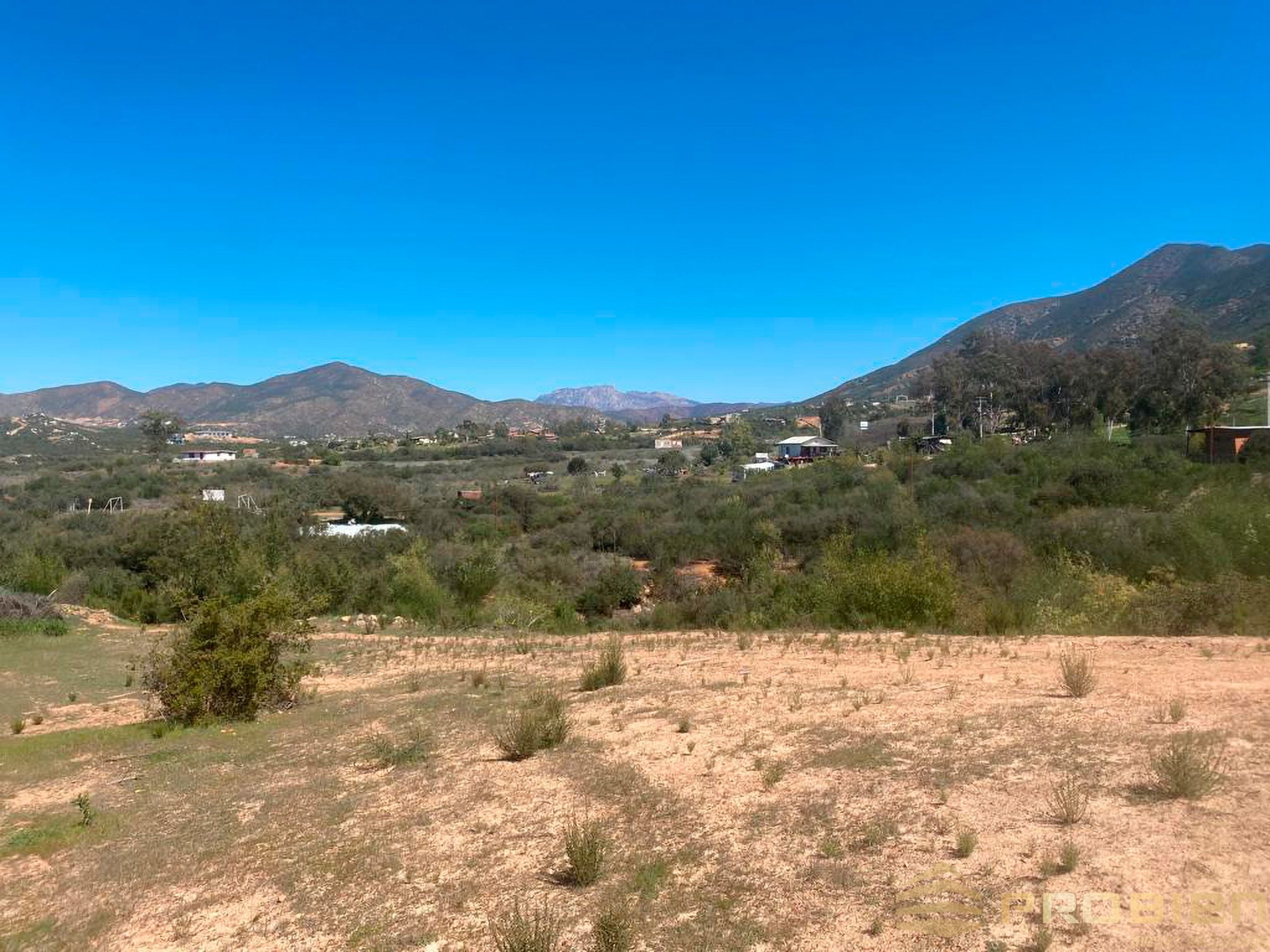 Terreno en Venta - San Antonio de las Minas - Foto 4 de 10
