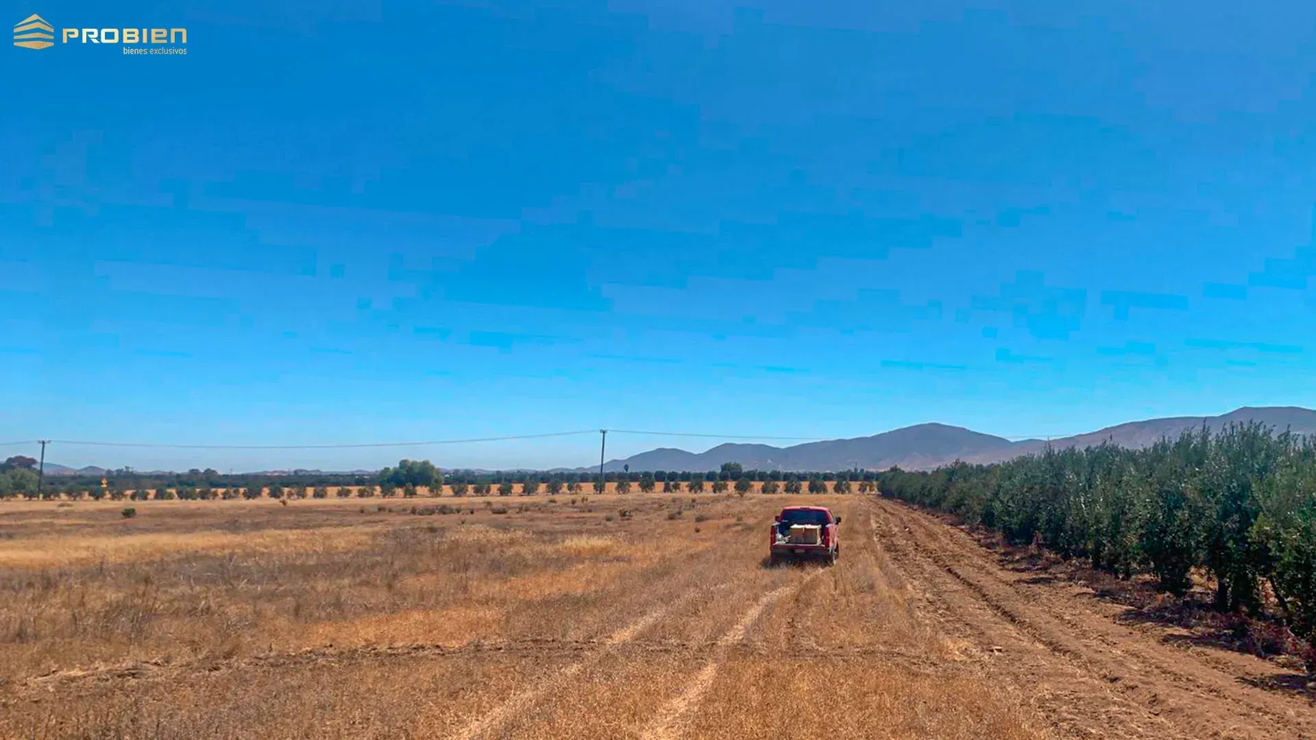 Terreno para desarrollo en Venta - Valle de Guadalupe - Foto 4 de 14