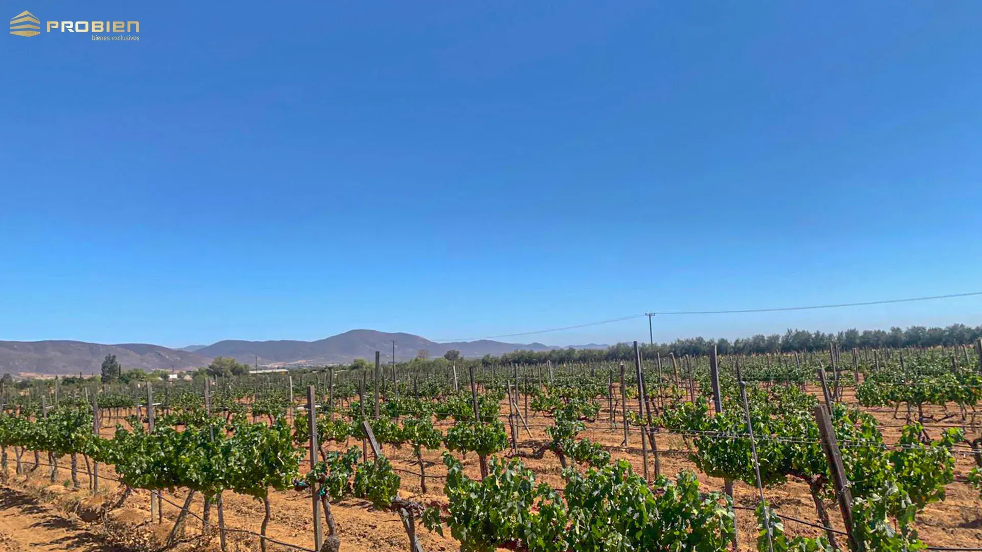 Terreno para desarrollo en Venta - Valle de Guadalupe - Foto 6 de 14
