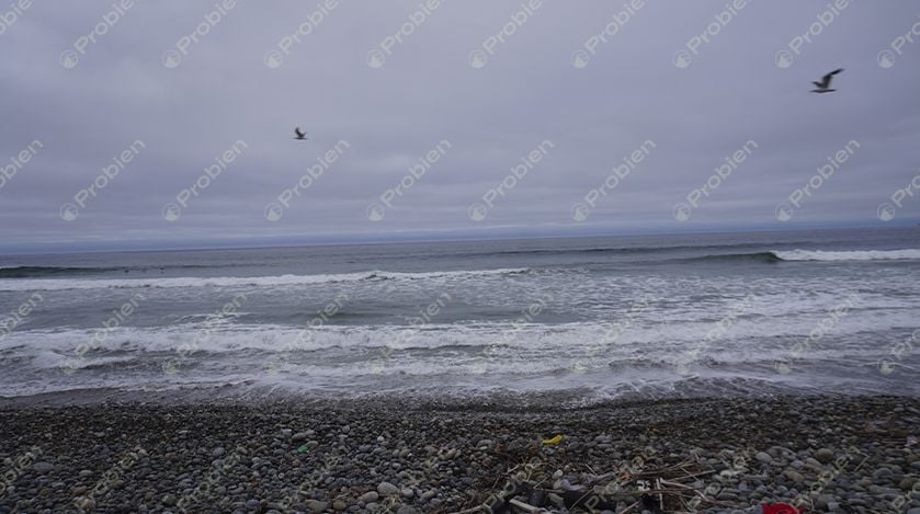 Terreno Comercial en Venta - Rosarito Los Arenales - Foto 17 de 19