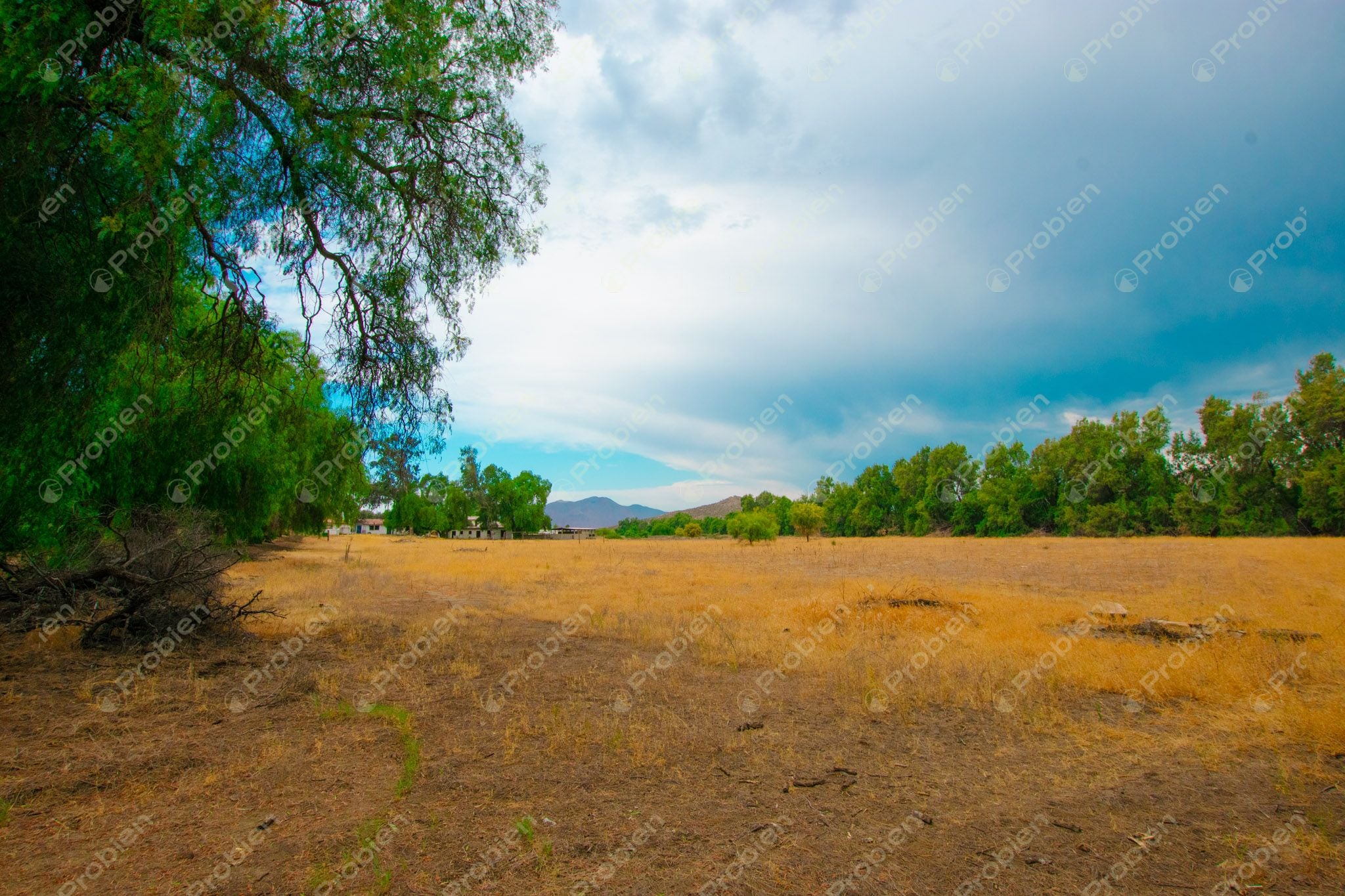 Terreno en Venta en Valle de las Palmas, Tecate – A Pie de Carretera con Potencial Industrial y Habitacional - Foto 7 de 13