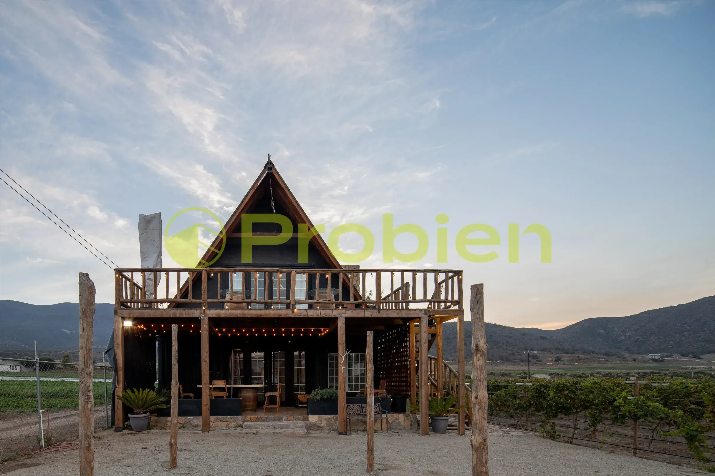 Viñedo Avilas en Venta - Ensenada - Foto 11 de 17