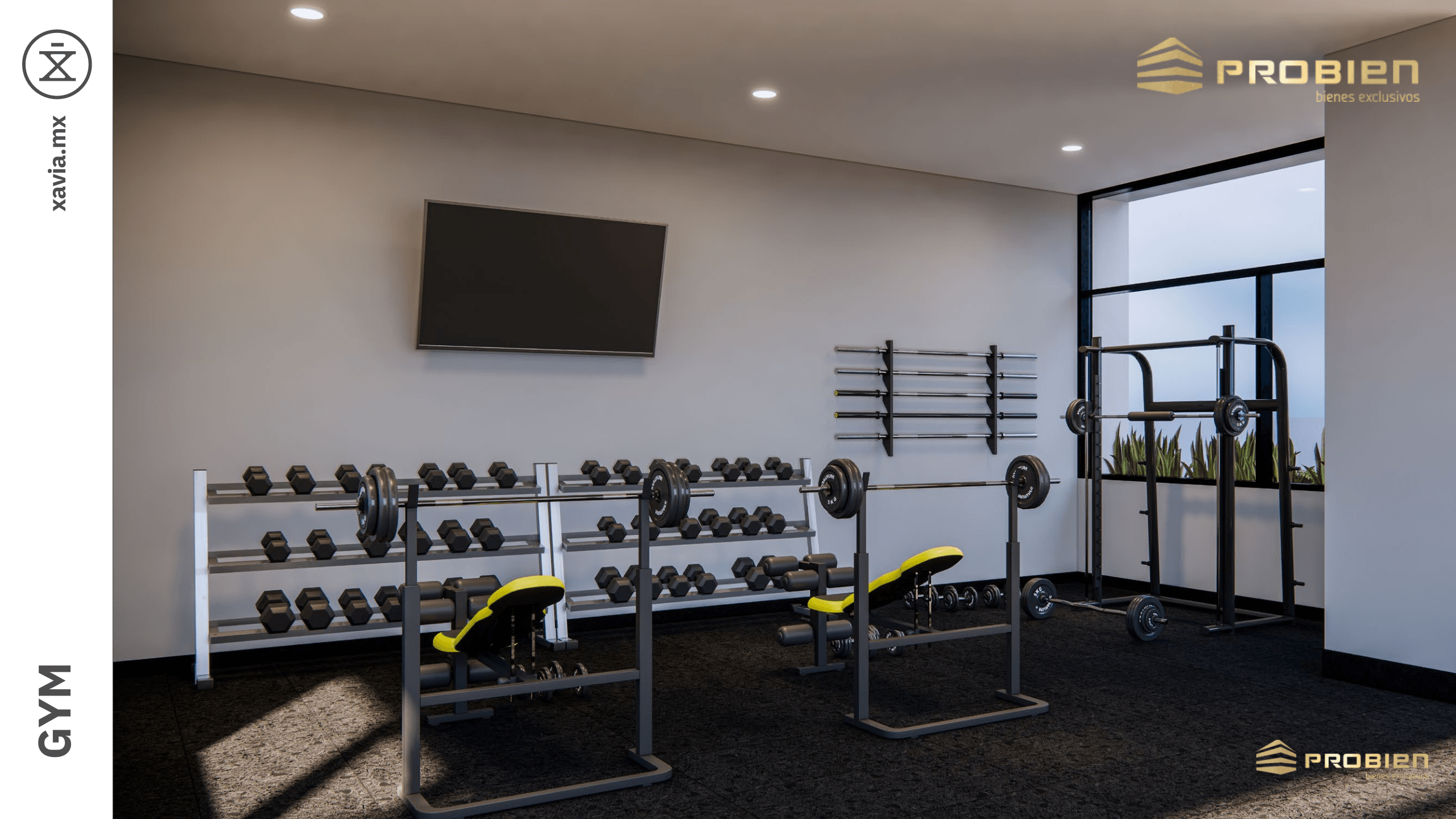 Departamentos en Venta Xavia - Xoan - Foto 10 de 11