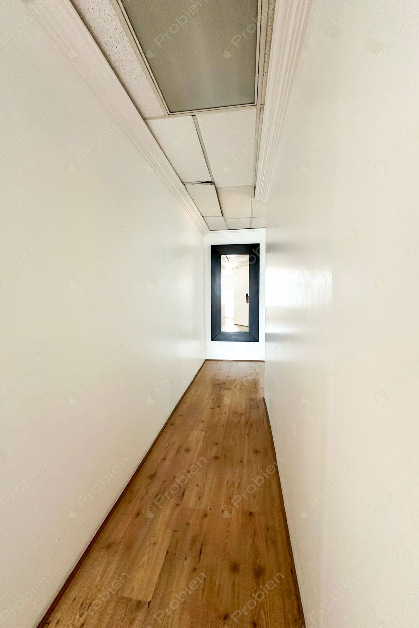 Oficina penthouse en Renta en Zona Río - Ubicación Estratégica cerca de Paseo de los Héroes con vista a la ciudad - Foto 18 de 24